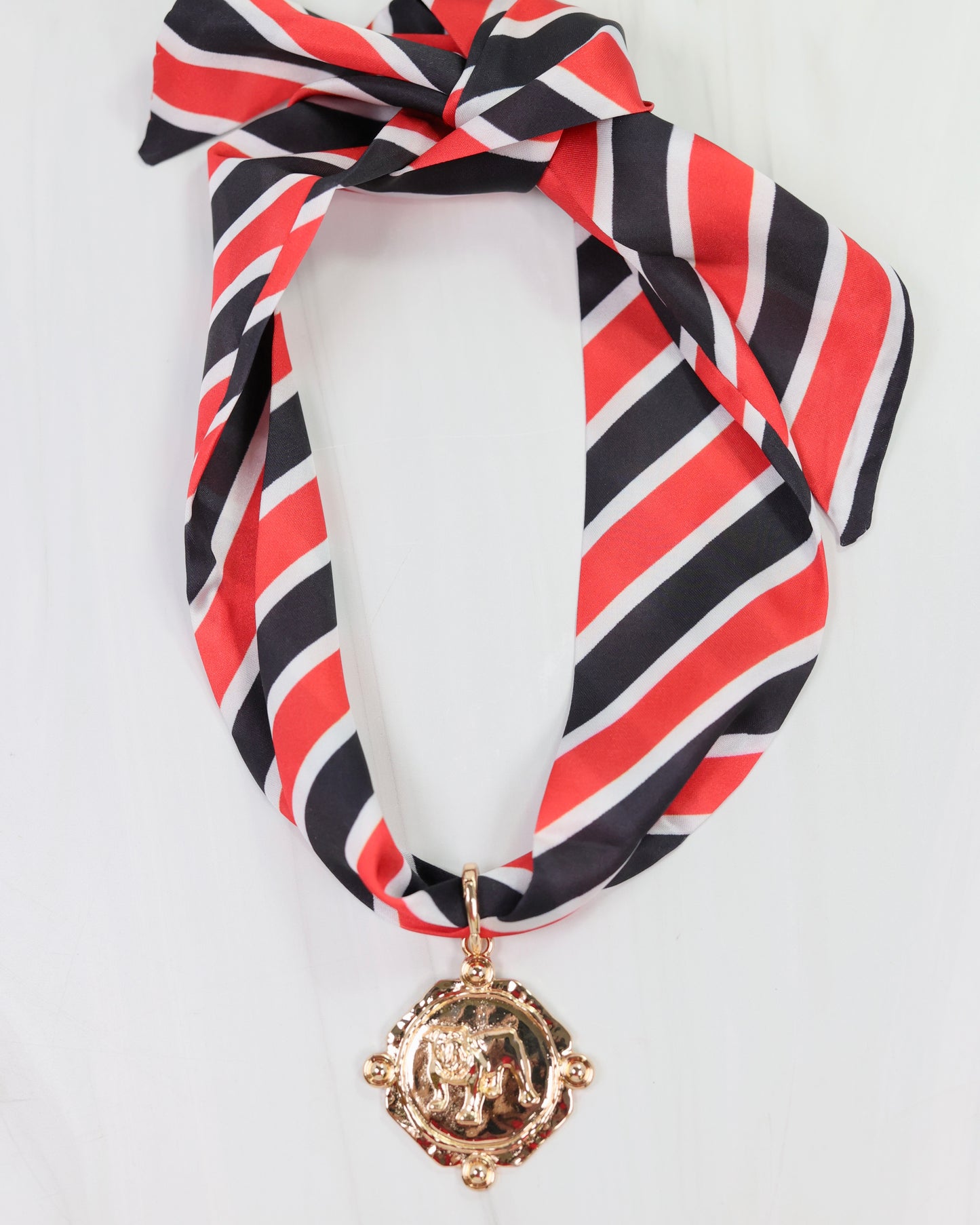 Dog Coin Scarf Necklace Bundle