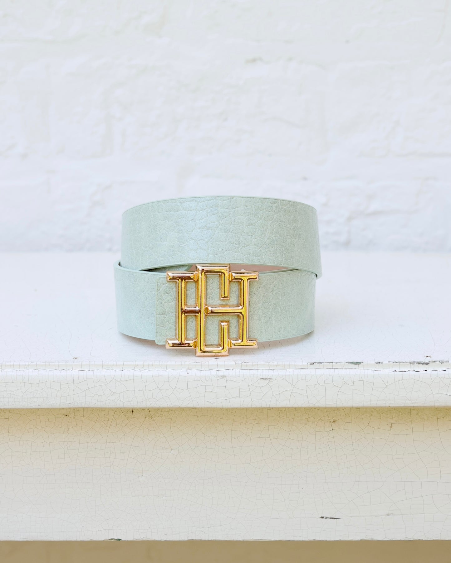 Bridgette Belt Mint EC