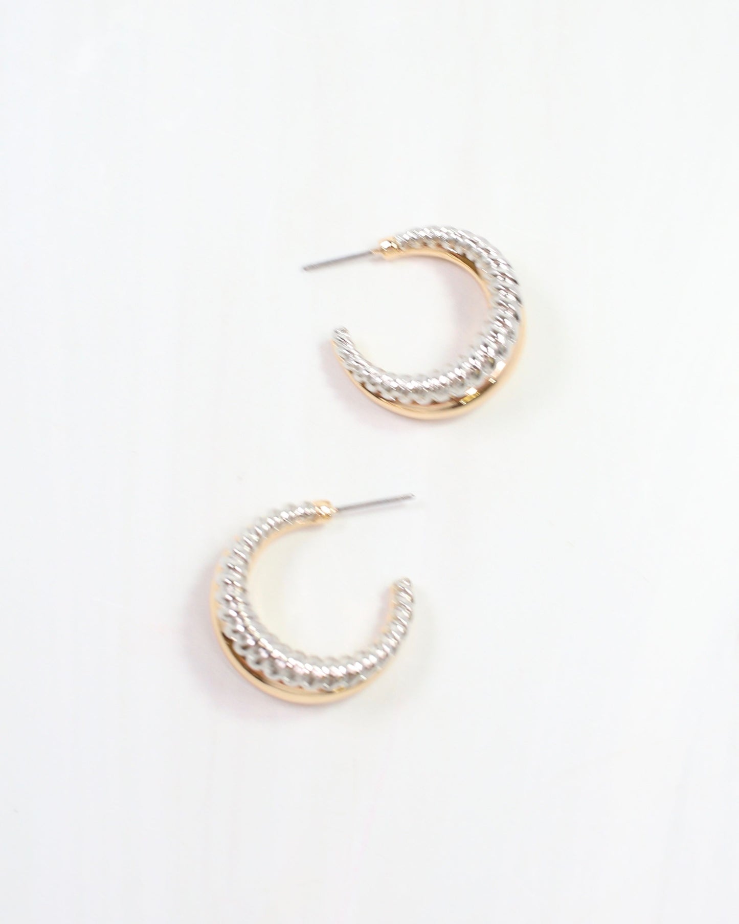 Branson Hoop Earring Gold Silver