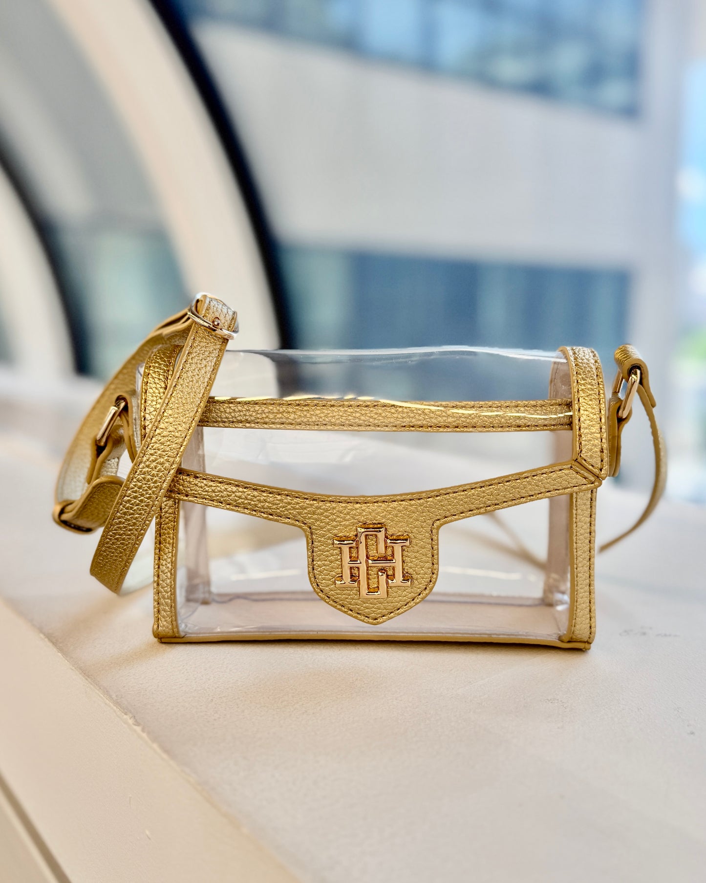 Anna Clear Bag Gold