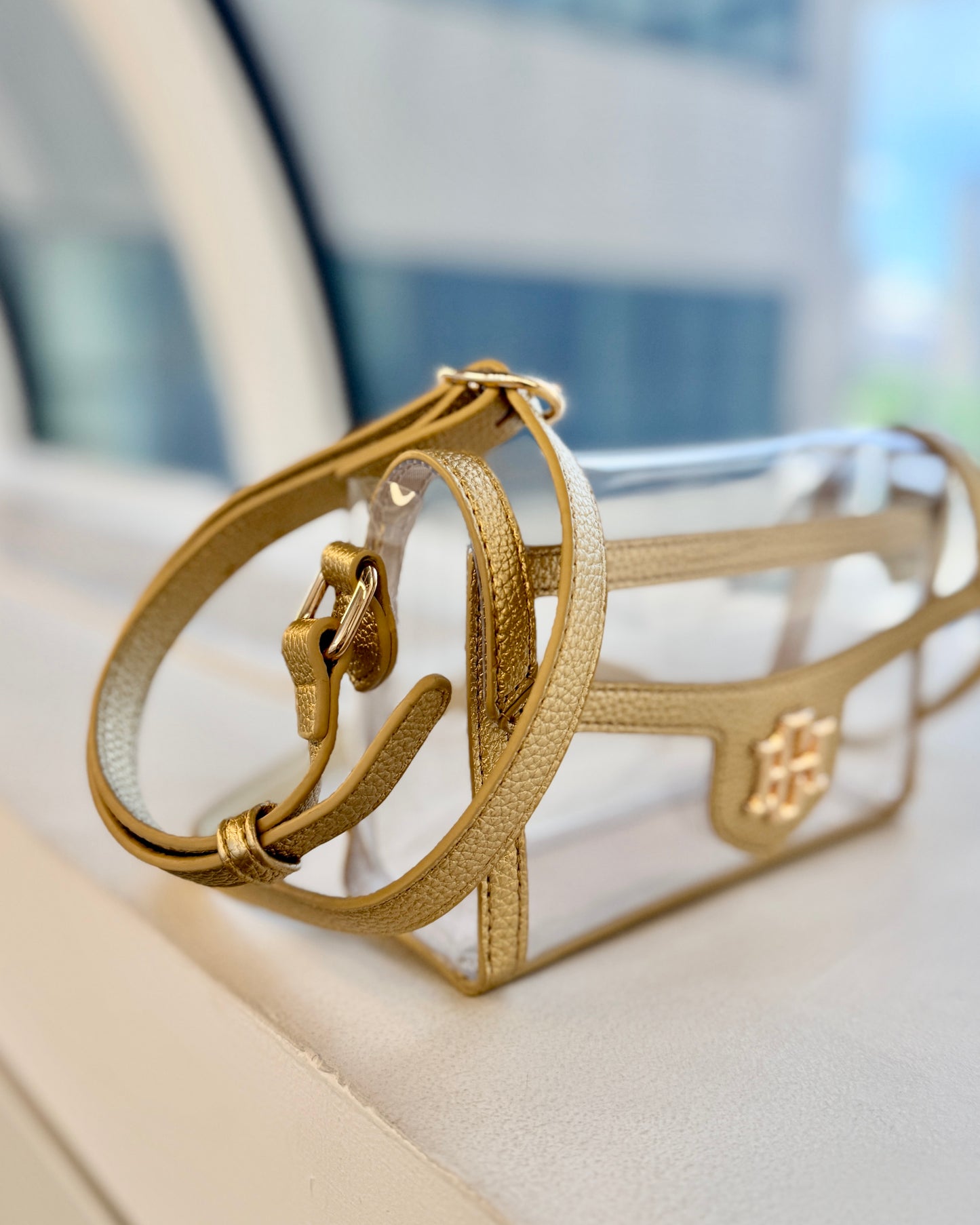 Anna Clear Bag Gold