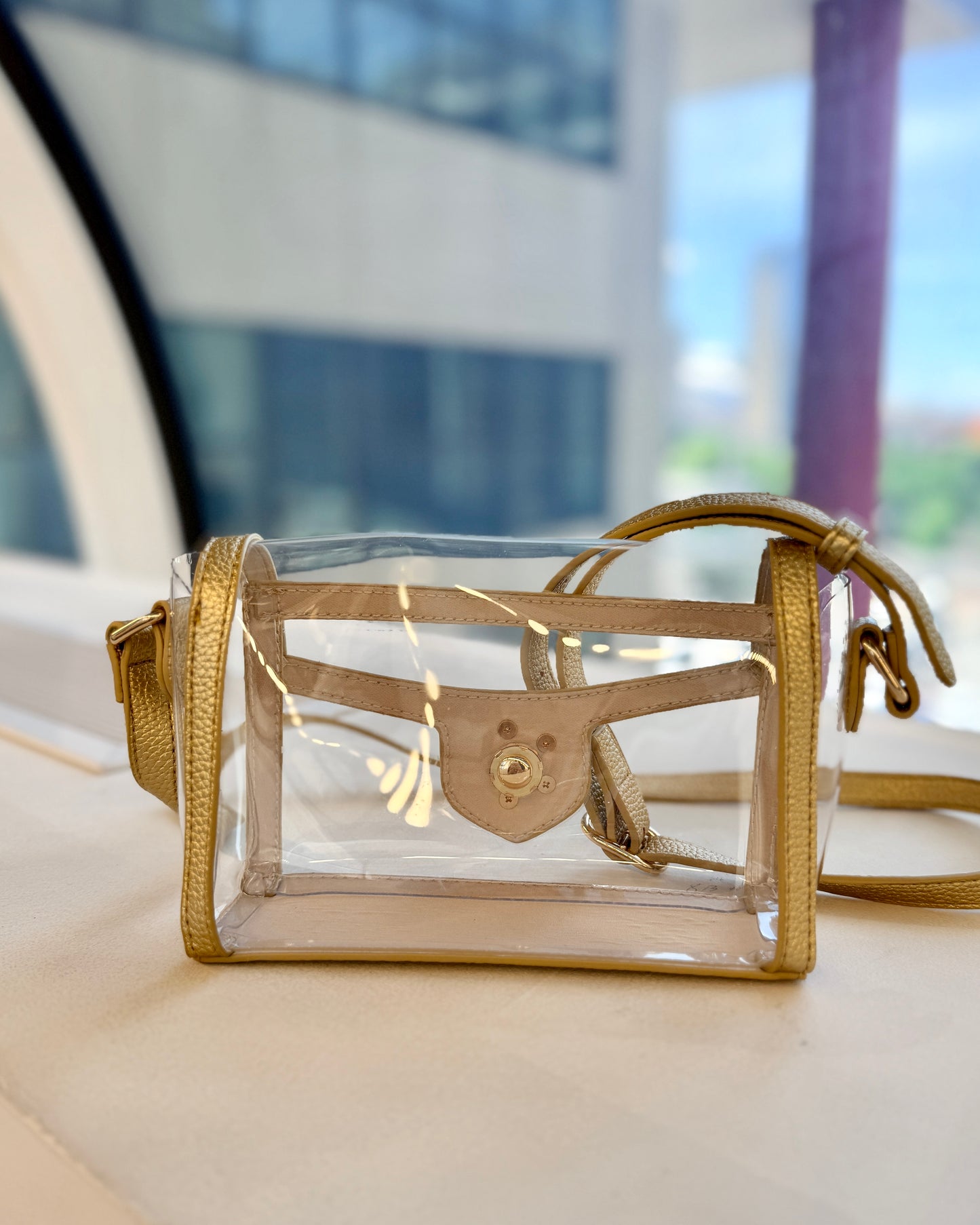 Anna Clear Bag Gold