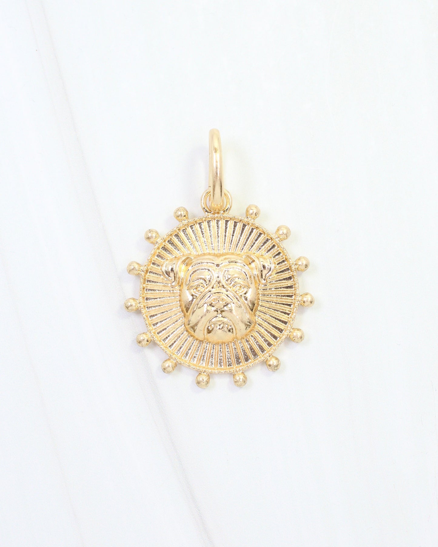Carmen Coin Charm Dog Worn Gold