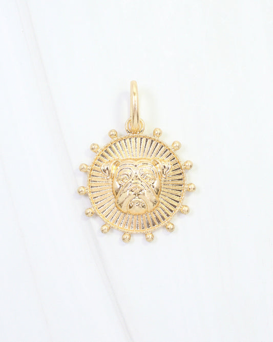 Carmen Coin Charm Dog Worn Gold