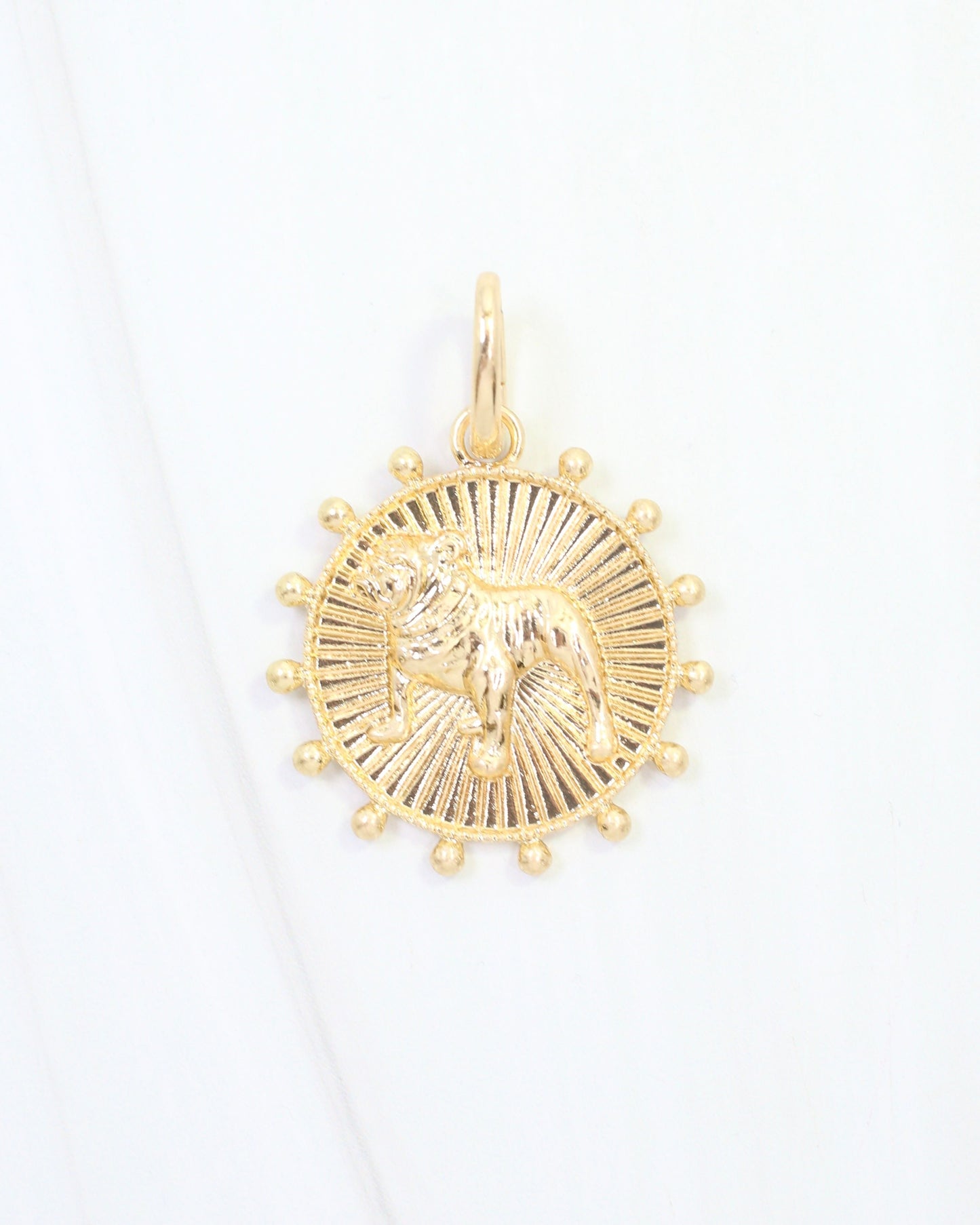 Carmen Coin Charm Standing Dog Worn Gold