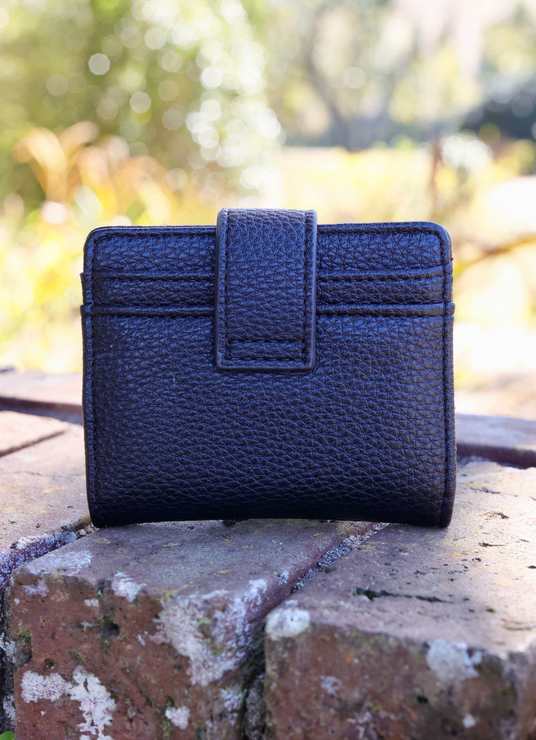 Caroline Hill Blakely Wallet Silver EC main image 1